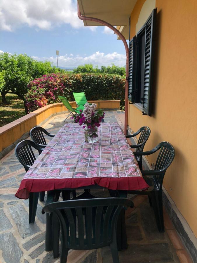 Casa Clementina Lejlighed Pizzo  Eksteriør billede